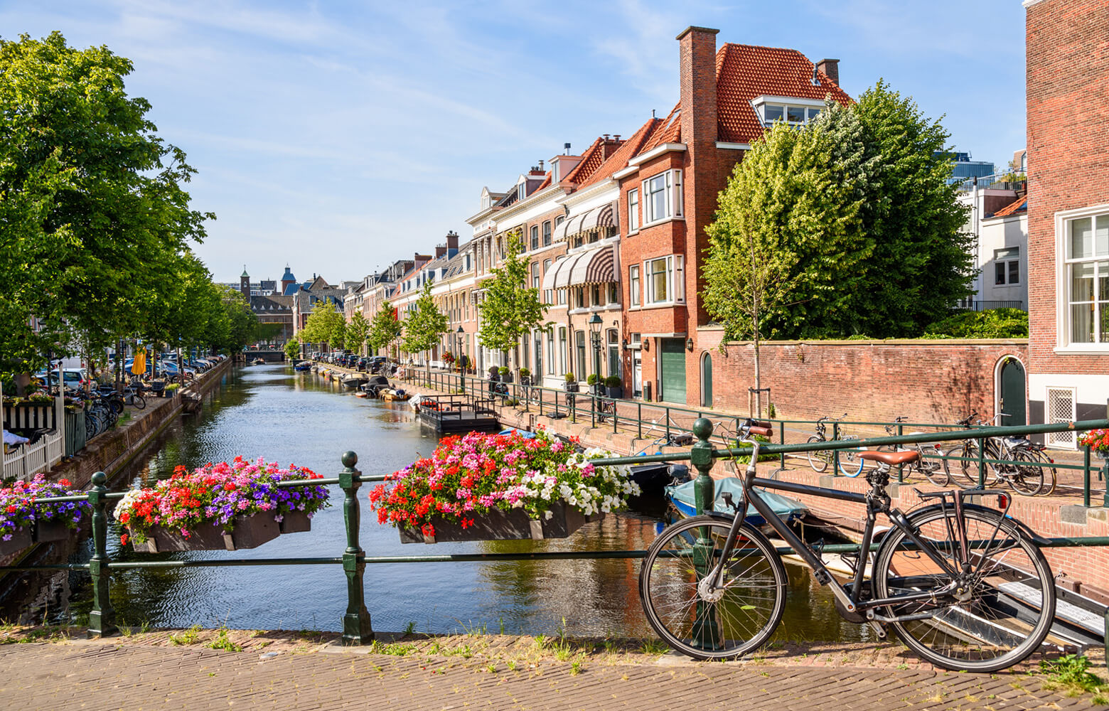 Étudier au Pays-Bas : conseils pour s'adapter à la culture néerlandaise